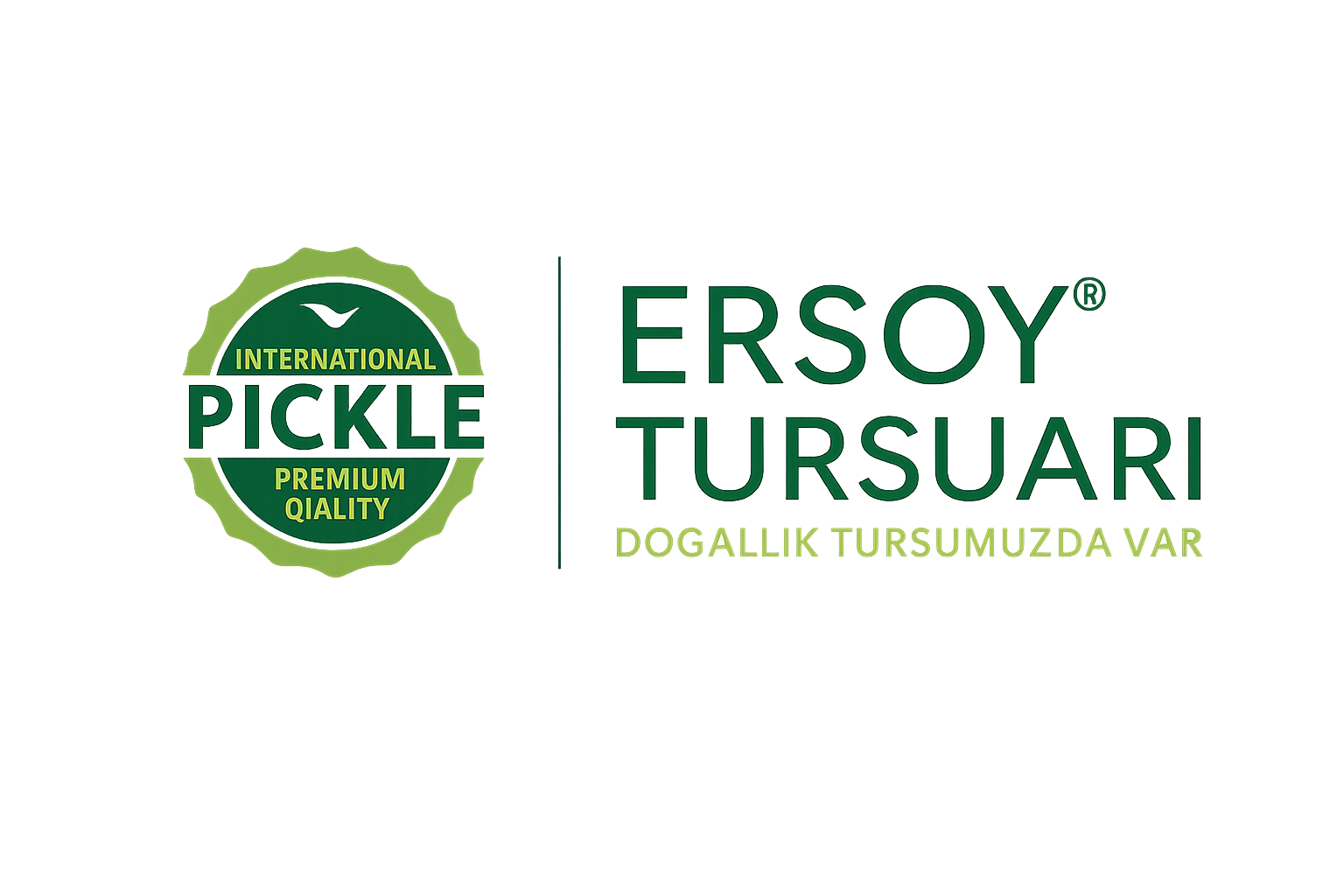 Kurumsal Logo